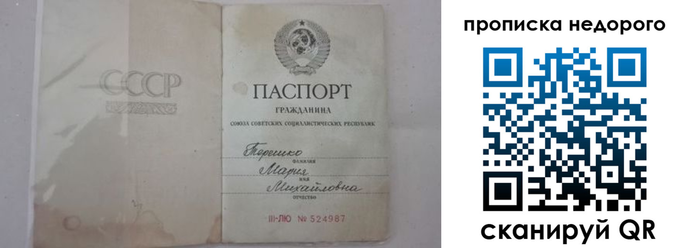 где прописаться в Воронежской области